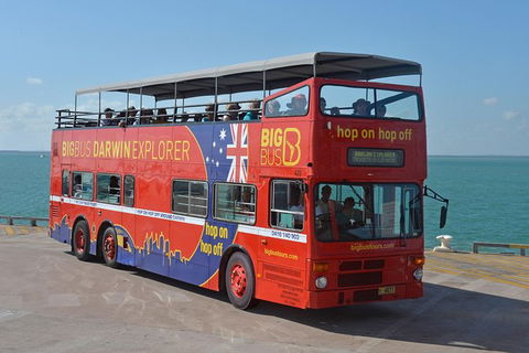 Darwin Hop-on Hop-off Bus Tour - Surfers Gold Coast 2