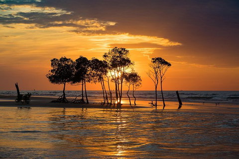 Darwin Self-Guided Audio Tour - Surfers Gold Coast 2