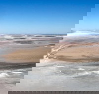 Scenic Flight Lizard Safari - Surfers Gold Coast