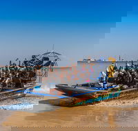 1 Hour Darwin Airboat Tours - Surfers Gold Coast