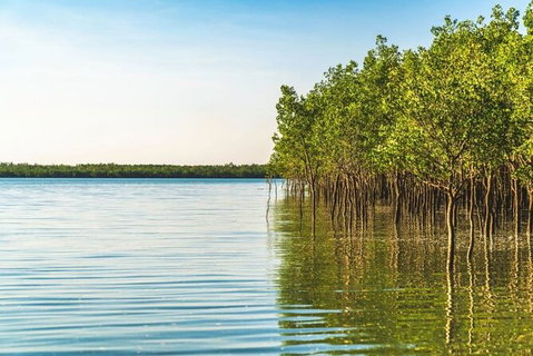1 Hour Darwin Airboat Tours - Surfers Gold Coast 7