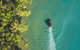 1 Hour Darwin Airboat Tours - thumb 6
