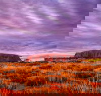 4-Day Camping Trip from Ayers Rock Including Uluru Kata Tjuta and Kings Canyon - Surfers Gold Coast