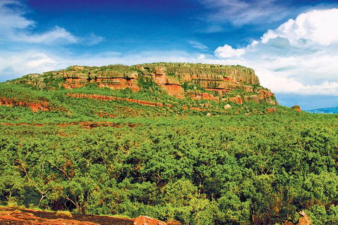 Kakadu, Nourlangie And Yellow Waters Tour From Darwin - Surfers Gold Coast 1