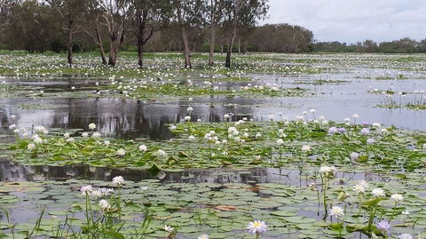 Kakadu, Nourlangie And Yellow Waters Tour From Darwin - Surfers Gold Coast 12