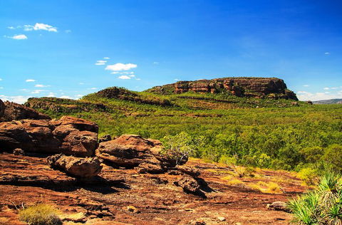 Kakadu, Nourlangie And Yellow Waters Tour From Darwin - Surfers Gold Coast 34
