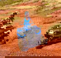 Aussie Outback Air and Land Tour Including Quad Bike Ride - Surfers Gold Coast