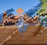 Skip-the-Line Katherine Outback Experience Show Ticket - Surfers Gold Coast