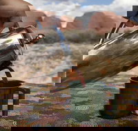 Kata Tjuta Small-Group Tour Including Sunrise and Breakfast - Surfers Gold Coast