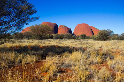 Kata Tjuta Sunrise And Valley Of The Winds Half-Day Trip - Surfers Gold Coast 11