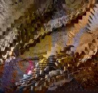 Cutta Cutta Caves Nature Park Guided Tours - Surfers Gold Coast