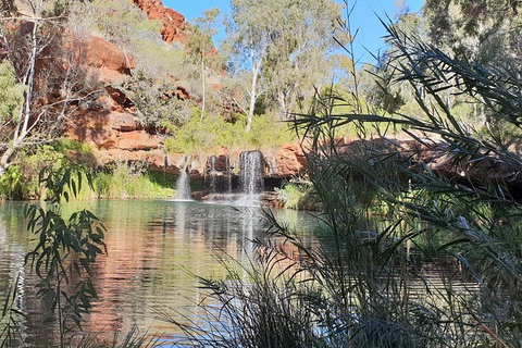 20 Day Darwin To Perth Adventure - Surfers Gold Coast 10