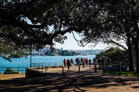2-Day Combo: Sydney City Tour, Sydney Harbour Lunch Cruise And Blue Mountains Day Trip - Surfers Gold Coast 2