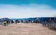 2-Day Combo: Sydney City Tour, Sydney Harbour Lunch Cruise And Blue Mountains Day Trip - thumb 17