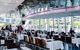2-Day Combo: Sydney City Tour, Sydney Harbour Lunch Cruise And Blue Mountains Day Trip - thumb 9