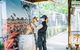 2-Day Combo: Sydney City Tour, Sydney Harbour Lunch Cruise And Blue Mountains Day Trip - thumb 18