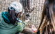 2-Day Combo: Sydney City Tour, Sydney Harbour Lunch Cruise And Blue Mountains Day Trip - thumb 21
