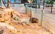 2-Day Combo: Sydney City Tour, Sydney Harbour Lunch Cruise And Blue Mountains Day Trip - thumb 20