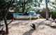 2-Day Combo: Sydney City Tour, Sydney Harbour Lunch Cruise And Blue Mountains Day Trip - thumb 19
