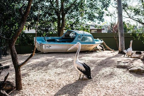 2-Day Combo: Sydney City Tour, Sydney Harbour Lunch Cruise And Blue Mountains Day Trip - Surfers Gold Coast 19