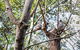 2-Day Combo: Sydney City Tour, Sydney Harbour Lunch Cruise And Blue Mountains Day Trip - thumb 22