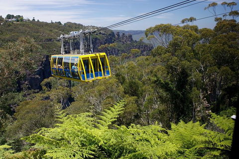 Go Sydney Explorer Pass With Hop-on Hop-Off Bus, Taronga Zoo And More - Surfers Gold Coast 10