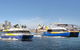 Go Sydney Explorer Pass With Hop-on Hop-Off Bus, Taronga Zoo And More - thumb 7