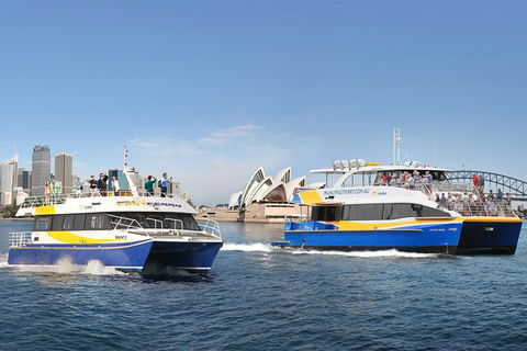 Go Sydney Explorer Pass With Hop-on Hop-Off Bus, Taronga Zoo And More - Surfers Gold Coast 7