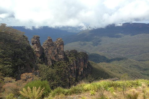 All-Inclusive Blue Mountains Tour In A Luxury Mercedes Sprinter - Surfers Gold Coast 11