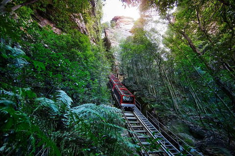 All-Inclusive Blue Mountains Tour In A Luxury Mercedes Sprinter - Surfers Gold Coast 3
