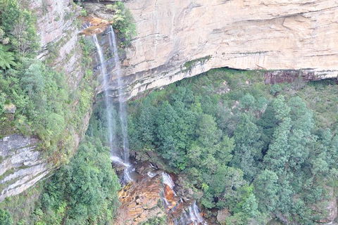 All-Inclusive Blue Mountains Tour In A Luxury Mercedes Sprinter - Surfers Gold Coast 17