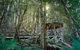 All-Inclusive Blue Mountains Tour In A Luxury Mercedes Sprinter - thumb 19
