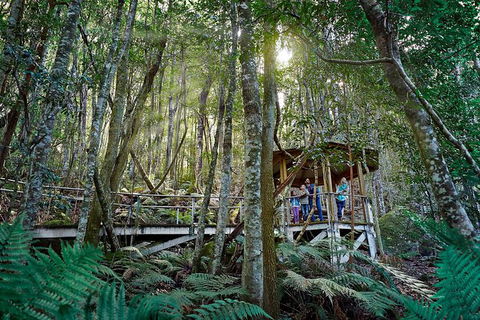 All-Inclusive Blue Mountains Tour In A Luxury Mercedes Sprinter - Surfers Gold Coast 19