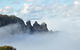 All-Inclusive Blue Mountains Tour In A Luxury Mercedes Sprinter - thumb 15