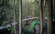 All-Inclusive Blue Mountains Tour In A Luxury Mercedes Sprinter - thumb 13