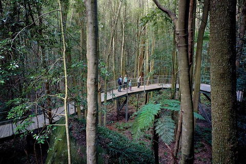 All-Inclusive Blue Mountains Tour In A Luxury Mercedes Sprinter - Surfers Gold Coast 13