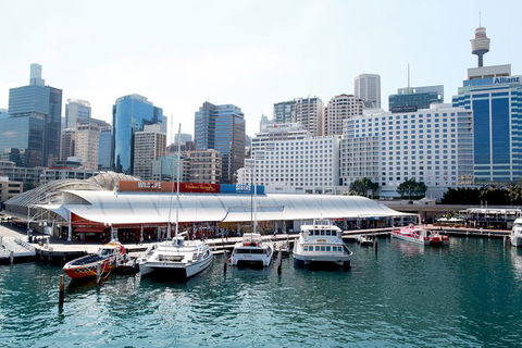 Sydney Attraction Pass: Darling Harbour Experience Ticket - Surfers Gold Coast 0