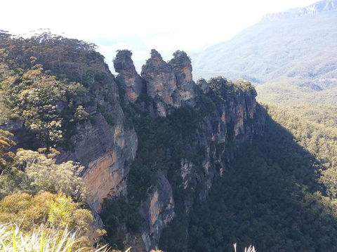 Blue Mountains Nature And Wildlife Day Tour From Sydney - Surfers Gold Coast 8