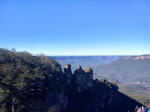 Blue Mountains Nature And Wildlife Day Tour From Sydney - Surfers Gold Coast 15