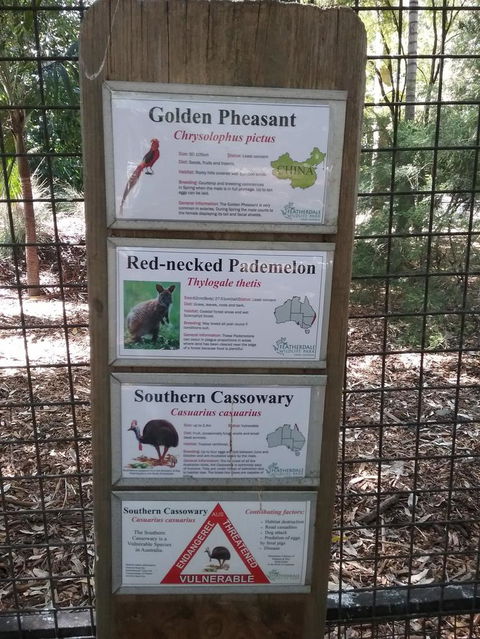 Blue Mountains Nature And Wildlife Day Tour From Sydney - Surfers Gold Coast 3