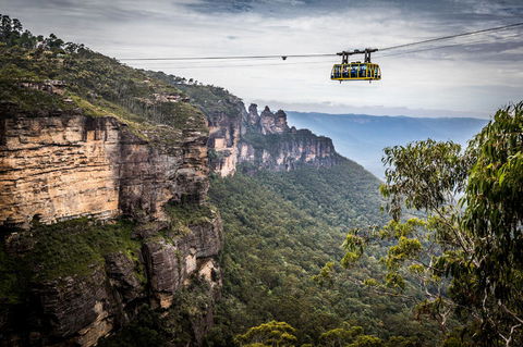 Blue Mountains Nature And Wildlife Day Tour From Sydney - Surfers Gold Coast 19