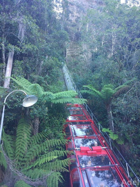 Blue Mountains Nature And Wildlife Day Tour From Sydney - Surfers Gold Coast 14