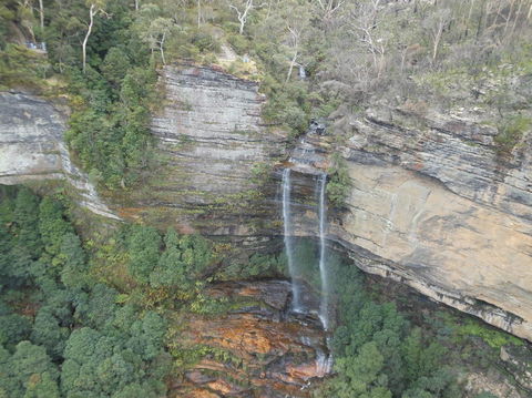 Blue Mountains Nature And Wildlife Day Tour From Sydney - Surfers Gold Coast 13
