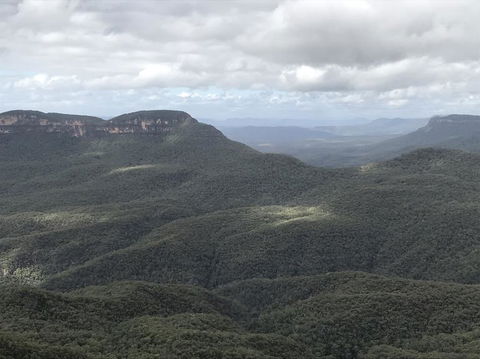 Blue Mountains Nature And Wildlife Day Tour From Sydney - Surfers Gold Coast 2