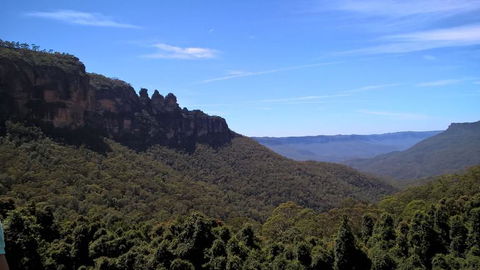 Blue Mountains Nature And Wildlife Day Tour From Sydney - Surfers Gold Coast 9