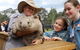 Blue Mountains Nature And Wildlife Day Tour From Sydney - thumb 39