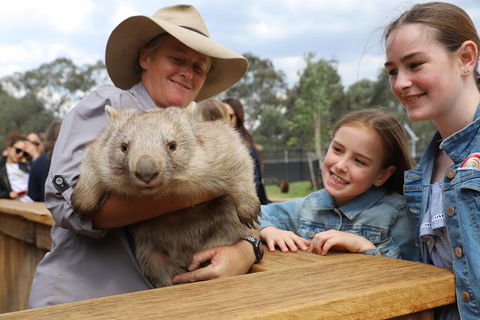 Blue Mountains Nature And Wildlife Day Tour From Sydney - Surfers Gold Coast 39