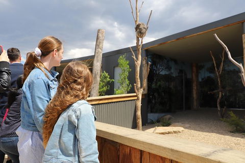 Blue Mountains Nature And Wildlife Day Tour From Sydney - Surfers Gold Coast 27