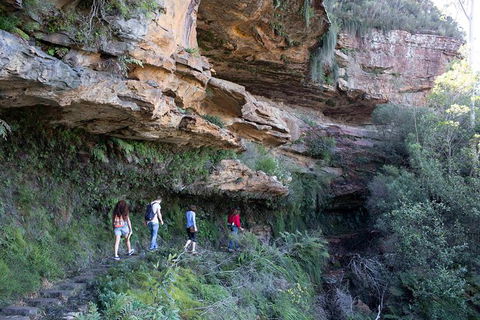 Blue Mountains Nature And Wildlife Day Tour From Sydney - Surfers Gold Coast 40