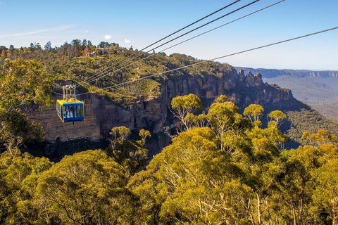 Blue Mountains Nature And Wildlife Day Tour From Sydney - Surfers Gold Coast 38